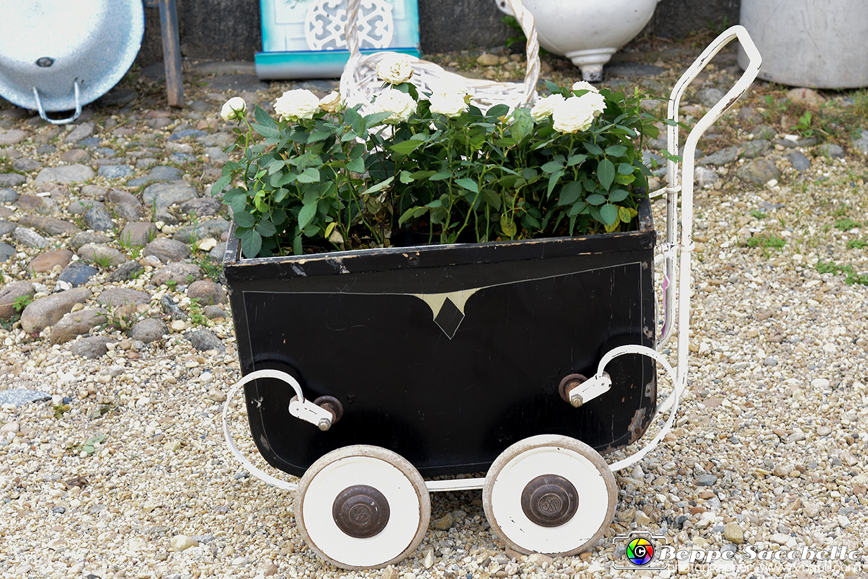 VBS_3502 - Floreal 2023 - Vivere con le piante.jpg